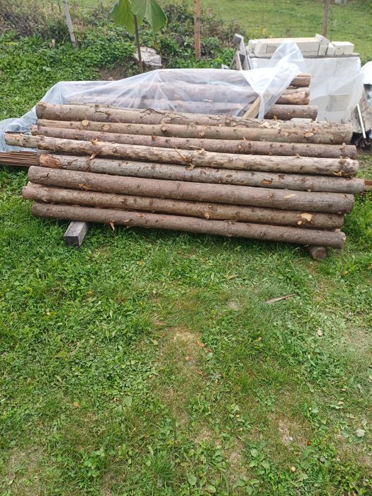 Vand 60 popi lemn