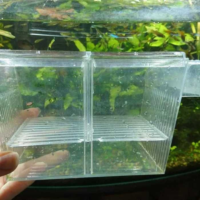 Отсадник для живородок.