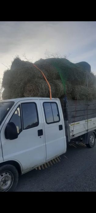 Avem balotii de vânzare