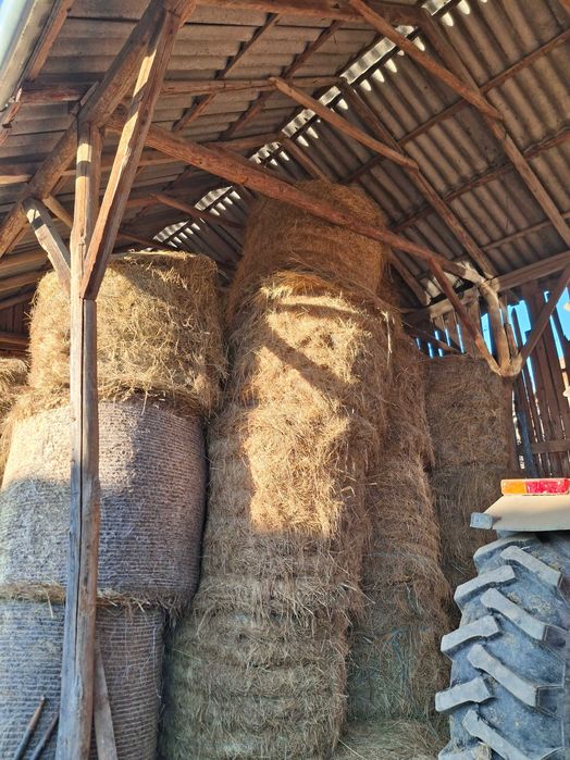 Fan si otavă de vanzare