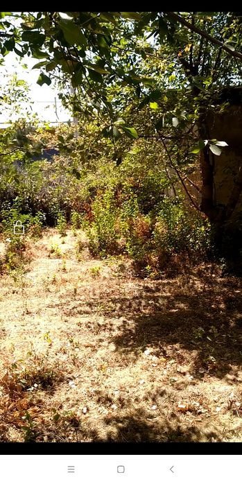 Кибрай тумани Ботаника м.ф.й да 2хона,6 сотик участка сотилади