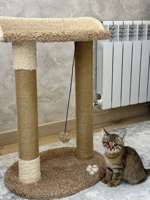 Когтеточка для кошек. Лежанка большая. Ассортимент домиков кошек