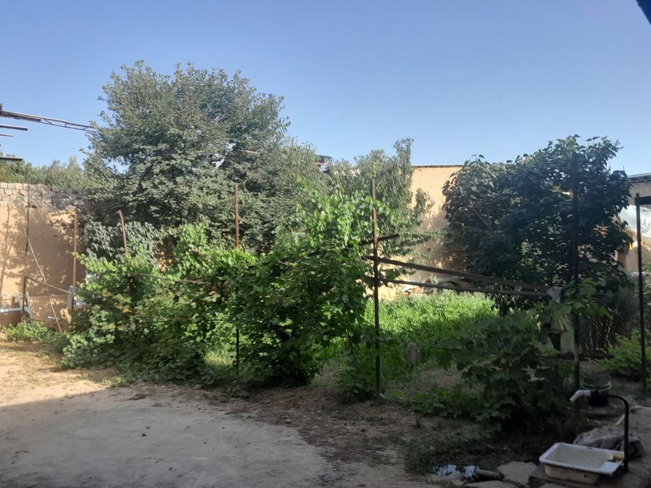 Uchaska sotiladi srochna