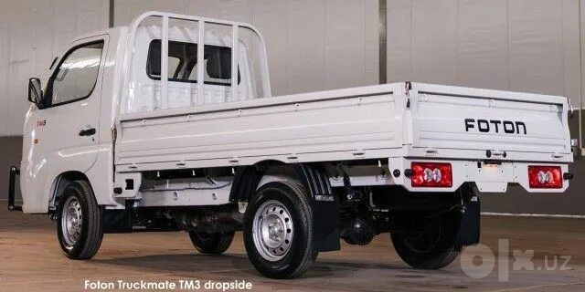FOTON Truck Mate 1