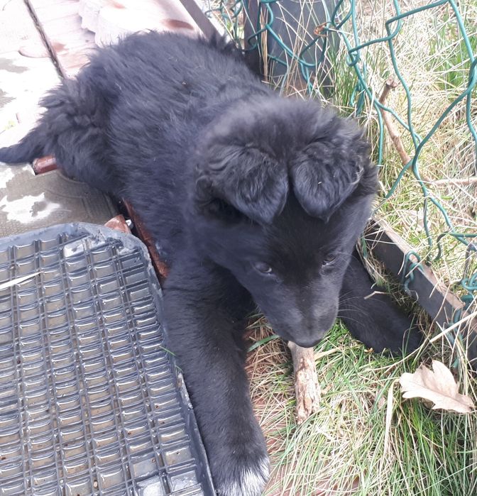 Найдена в Каскелене 5 апреля 2025 г.