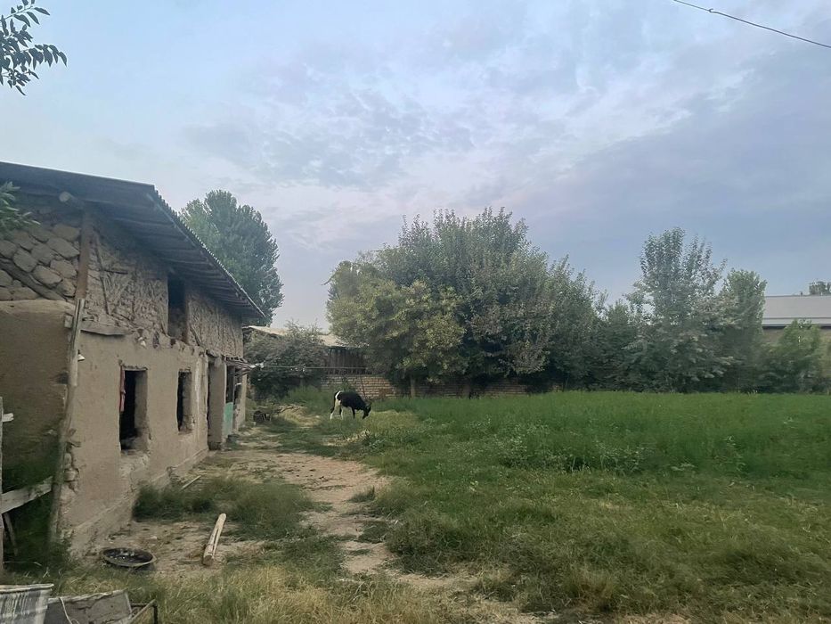 Yer sotiladi Eshonguzar 13 sotix