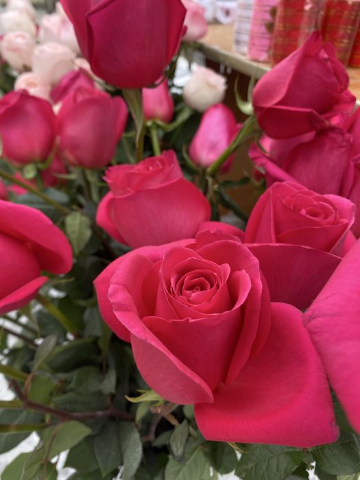 Цветы розы 70см жетесу