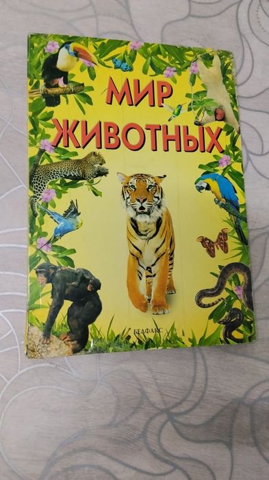 Книга "мир животных"