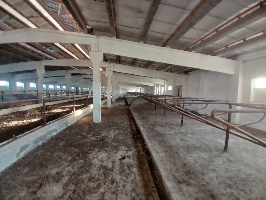 Здание и сооружение, Большая современная ферма