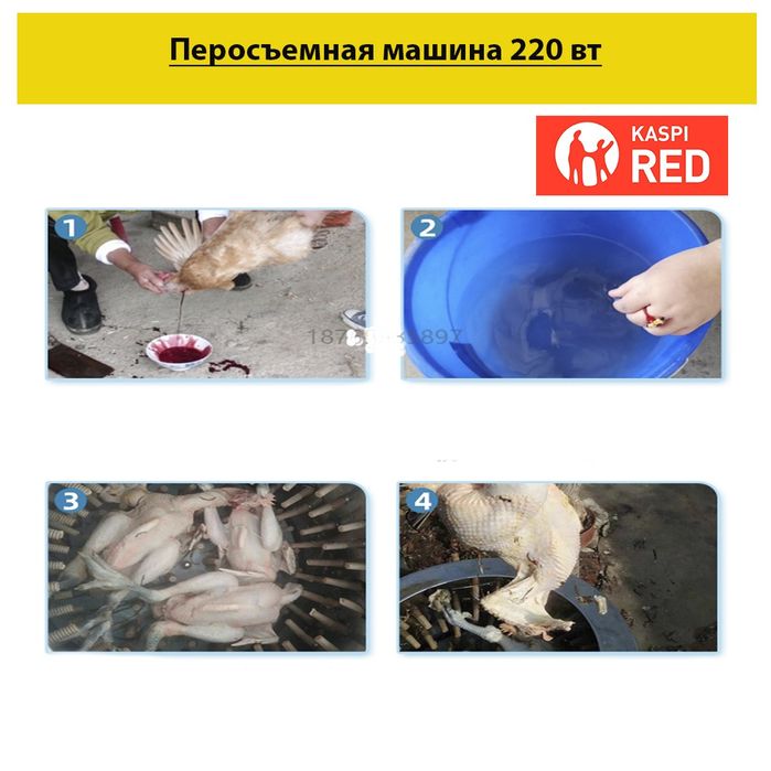Пересъемная машина для куры, утка, гусь