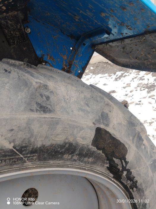 Belshina 15.5 R 38 balon sotiladi