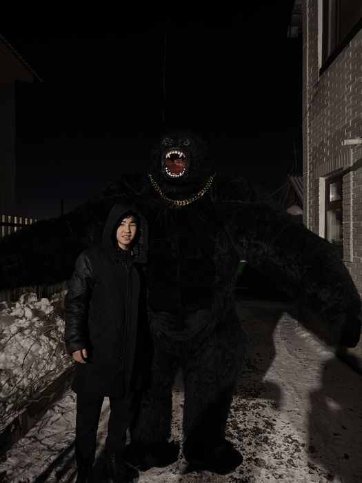 АНИМАТОР / Горилла/ Кинг конг