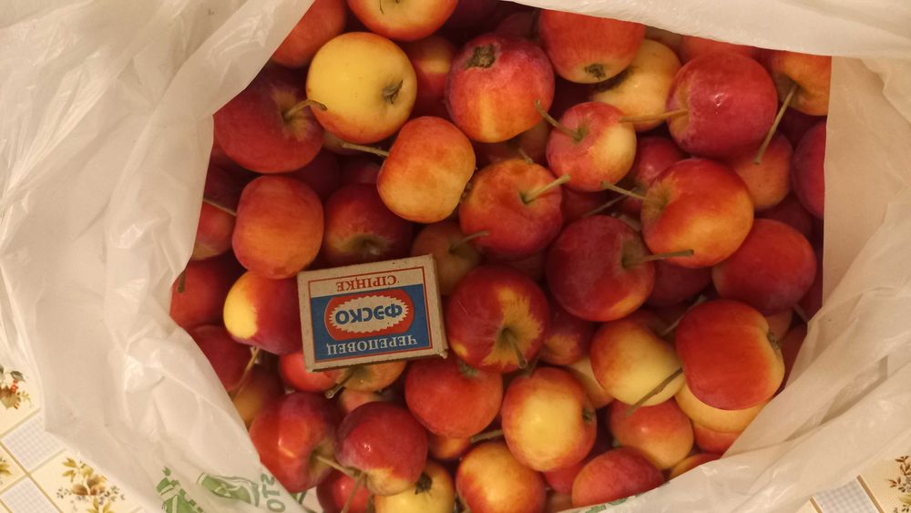 Домашние яблоки продам