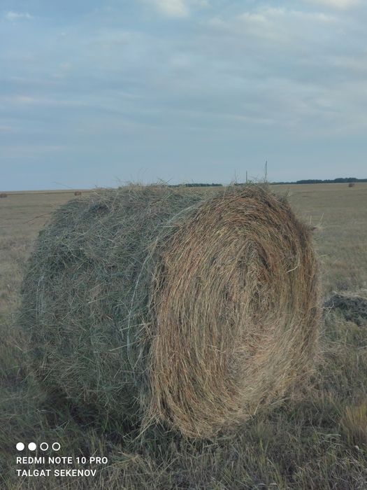 Сено отличного качества