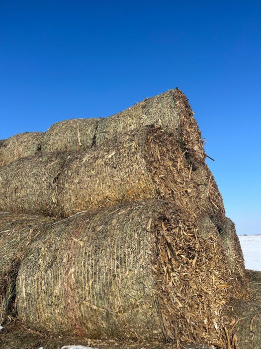 Vand Baloti de Coceni si de Paie