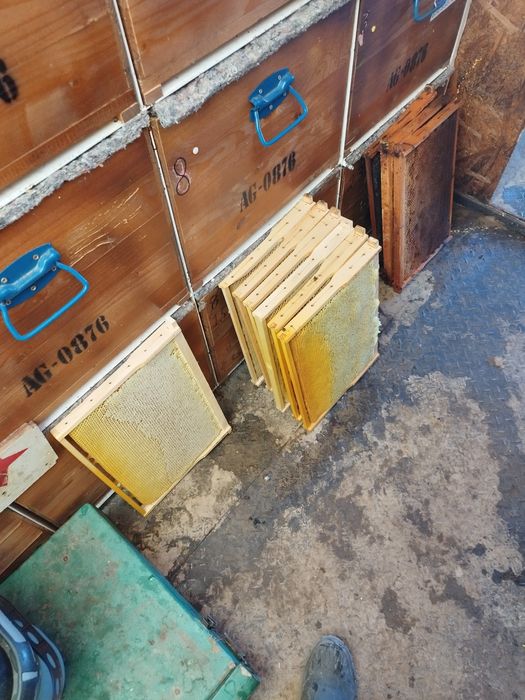 Vând cutii de stupi orizontali pe 18 rame