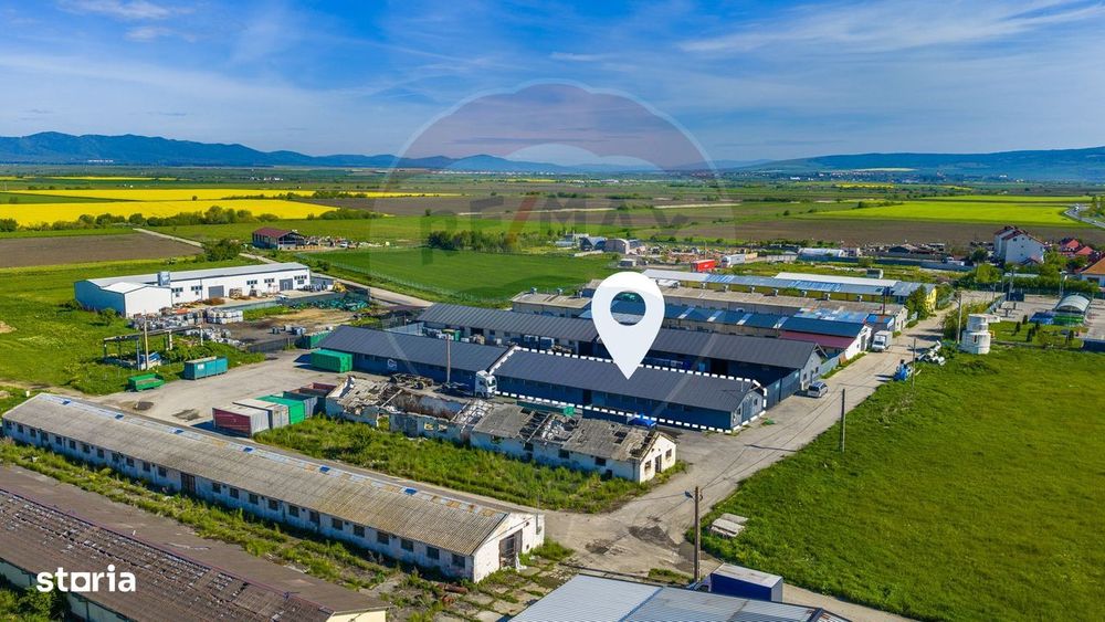 Comision 0 % Hală industrială | 362 mp | Hălchiu | Autorizată ISU
