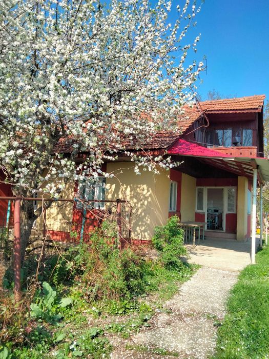 Casa cu 4500 mp teren in Prisacani