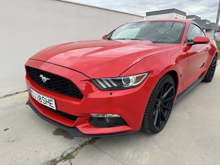 Mustang MK6 Elemente caroserie: capota, aripi fata, bara fata