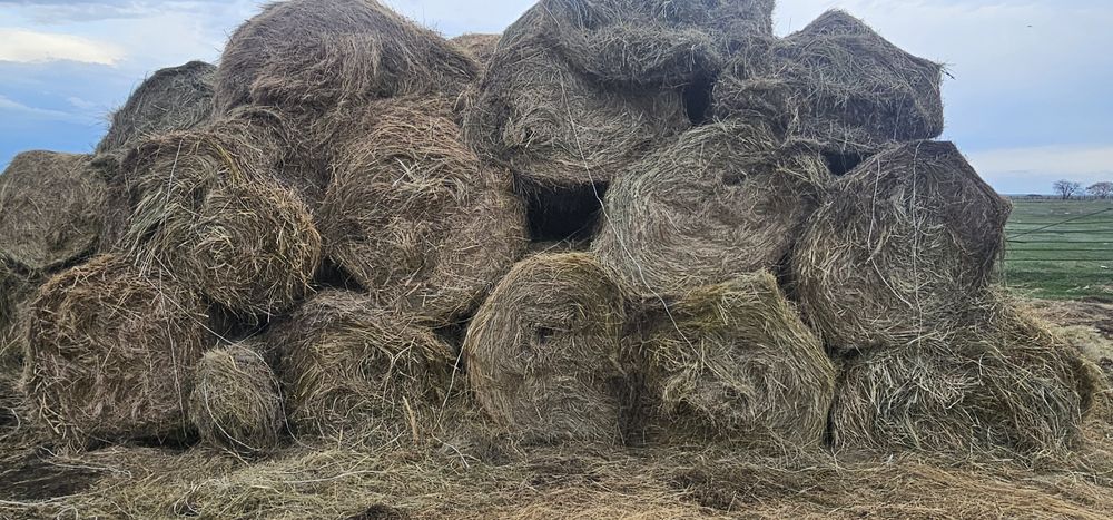 Продам сено рулонные прошлого года