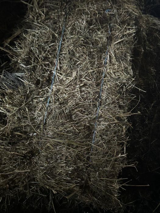 Baloți de lucerna de vanzare