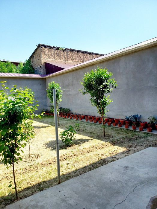 Nazarbeda uy sotiladi