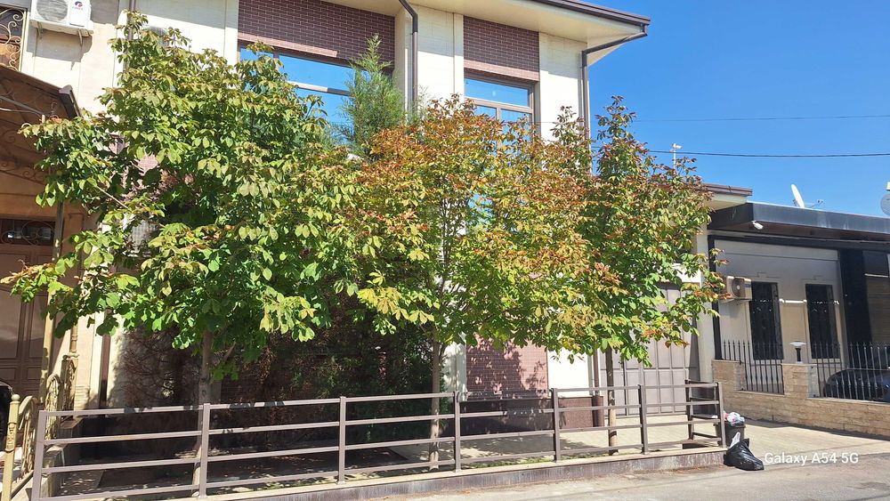 Срочно евро дом махалля Дархан 3