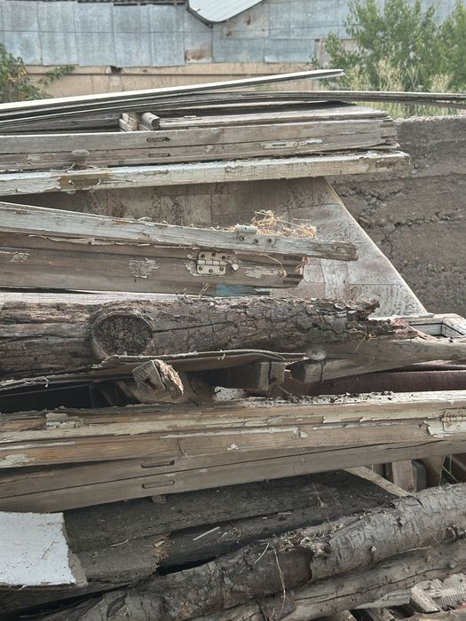 Есік терезе ағаштары