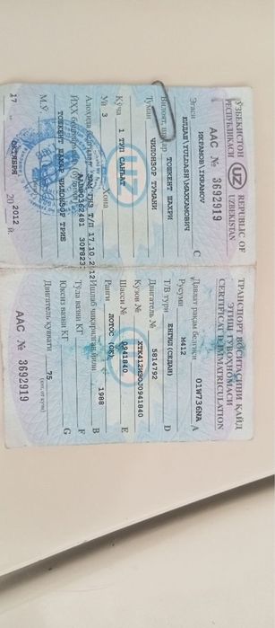 maskvich sotiladi radnoy kraska