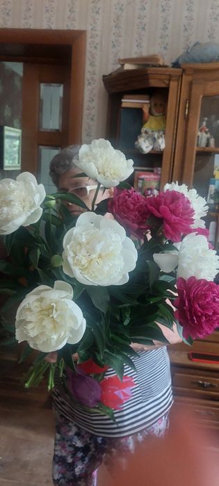 Продаю кусты пионов.