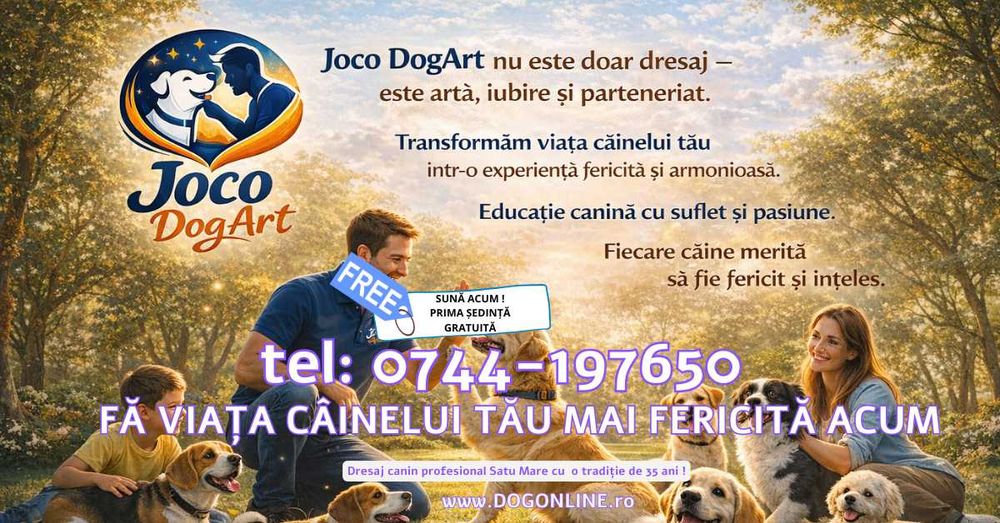 Dresaj canin simplu şi eficient