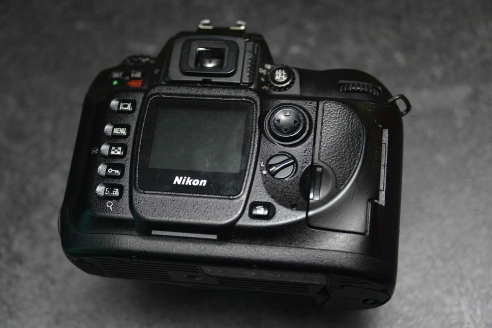 Nikon d100, senzor CCD