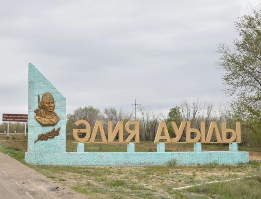 Продам дом в поселке