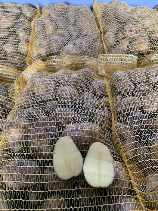 Картофи сорт сорая