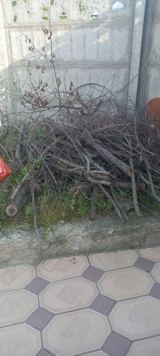 Отдам дрова даром