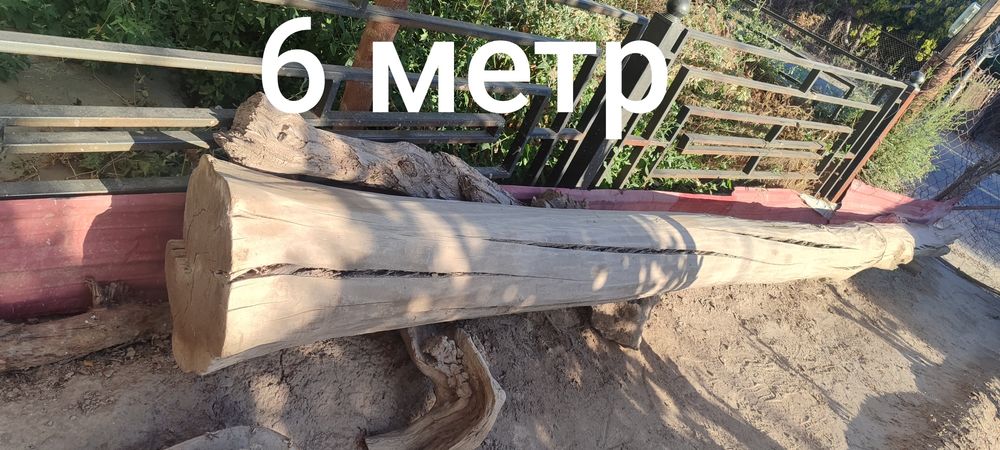 Ак терек сатылады