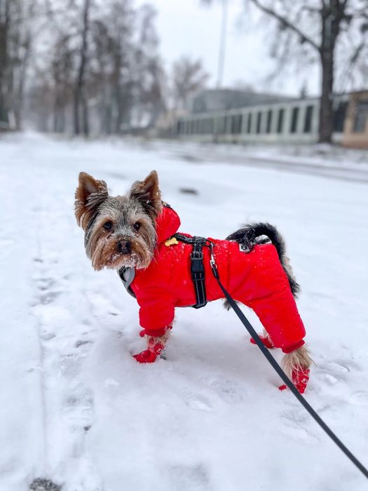 Дрехи кучета кучешко яке суитшърт гащеризон качулка пух червено