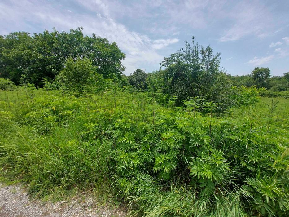 Продава се Парцел в Търговище, Изток 1 - 1762 кв.м за 29 €/кв.м - Снимка #2