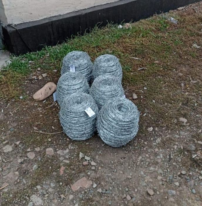Егоза колючая проволока!