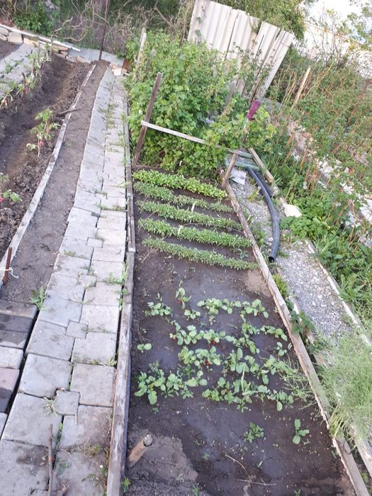 Продам дачу , земельный участок