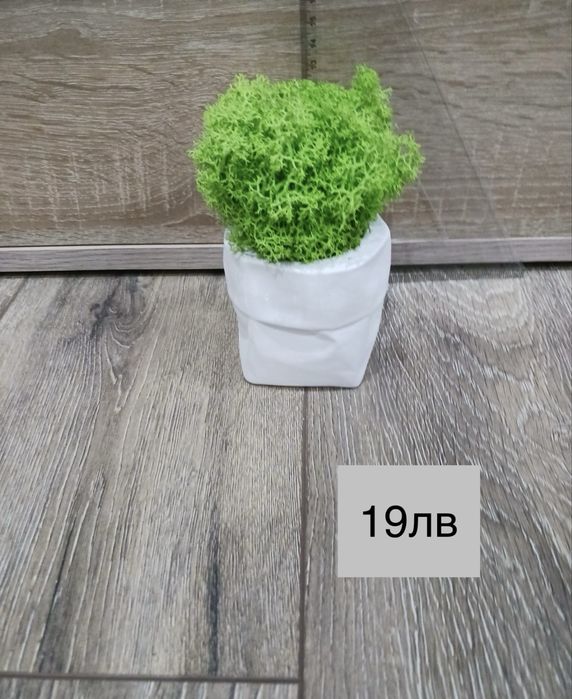 Декоративни кашпи с естествен скандинавски мъх