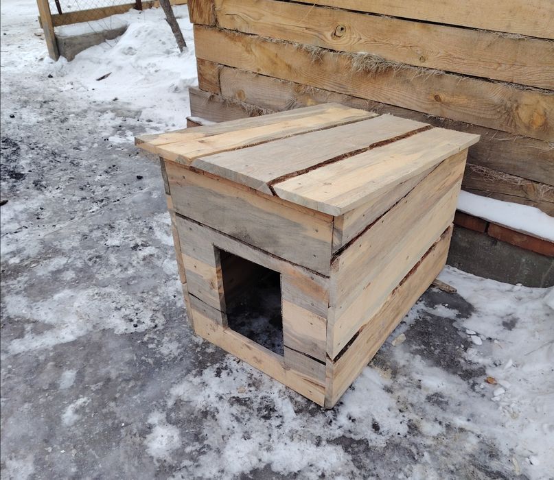 Срочно не дорого