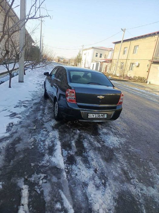 Kobolt 2019 йил мокрий ранг