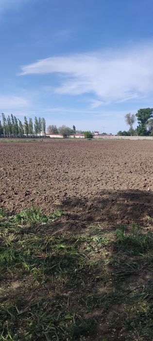 Земля в аренду посев сад огород