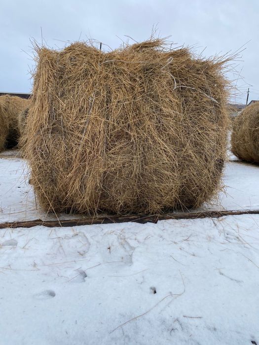 Сено в рулонах, в тюках