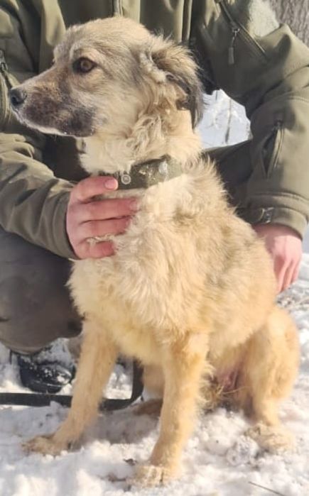 Кому ЗвонОчкоВ и СтороЖей