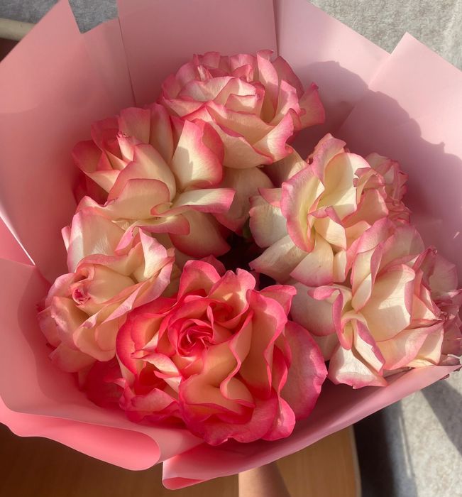 Красивые, свежые цветы