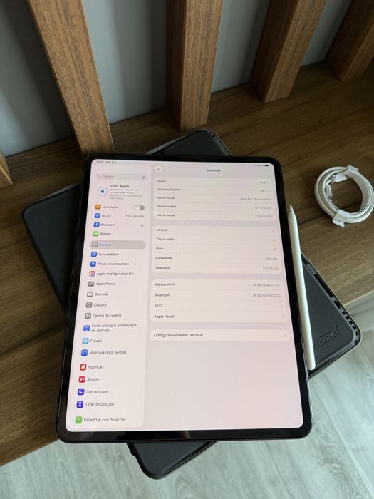 Ipad Pro 13 M4 + Pencil Pro - Impecabil - Baterie 100%
