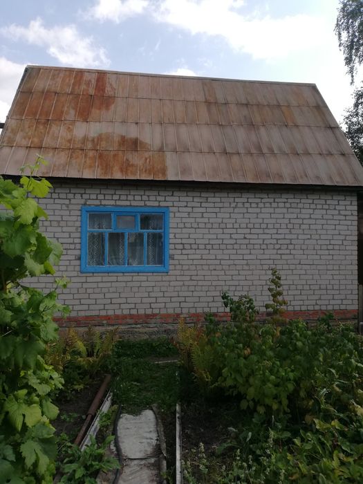 Дача, общество Веснянка