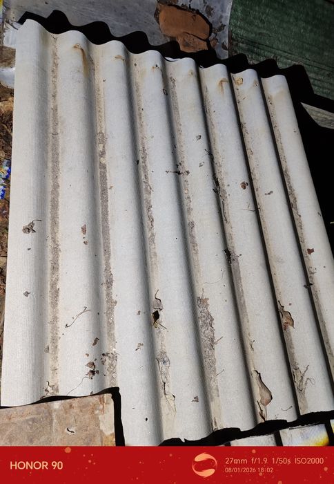 Shifer bor  donasi. 25 mingdan